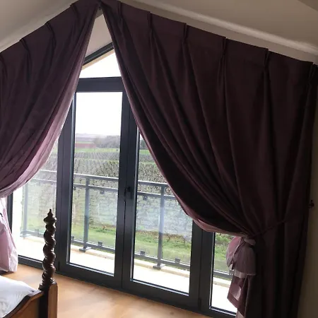 Chateau Tour Saint-fort D'hotes 4* 圣埃斯泰夫